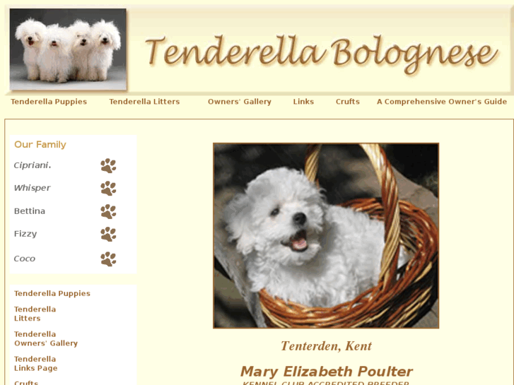 www.tenderella-bolognese.com