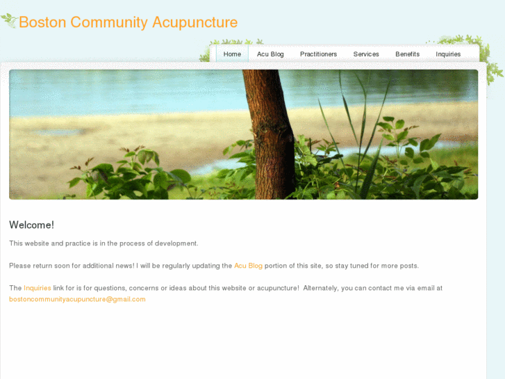 www.bostoncommunityacupuncture.com