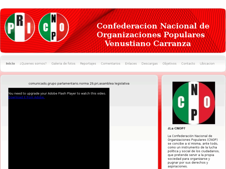 www.cnopvc.com