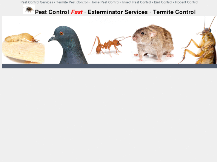 www.pestcontrolfast.com