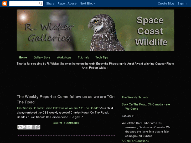 www.spacecoastwild.com