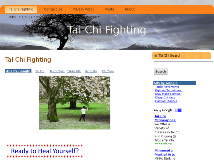 www.taichifighting.com