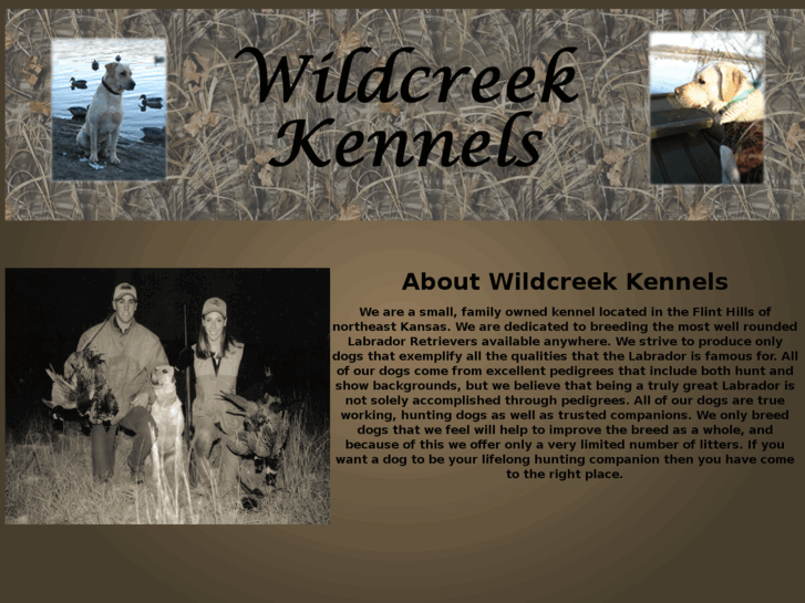 www.wildcreekkennels.com