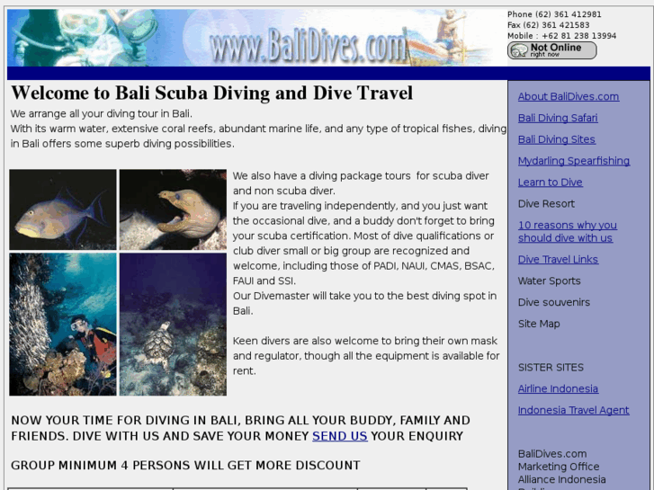 www.balidives.com