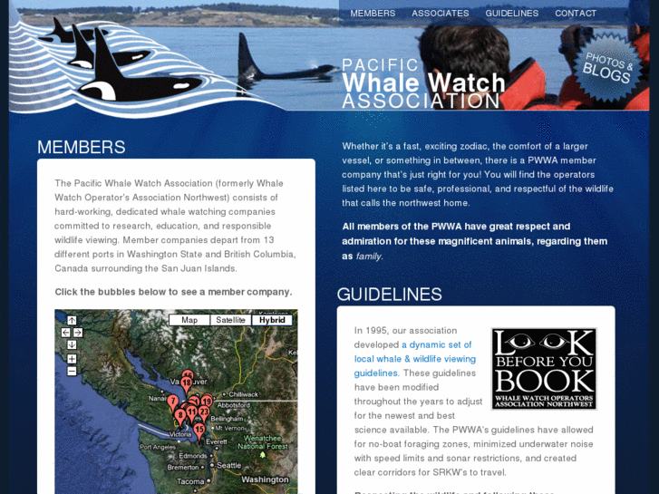 www.pacificwhalewatch.com