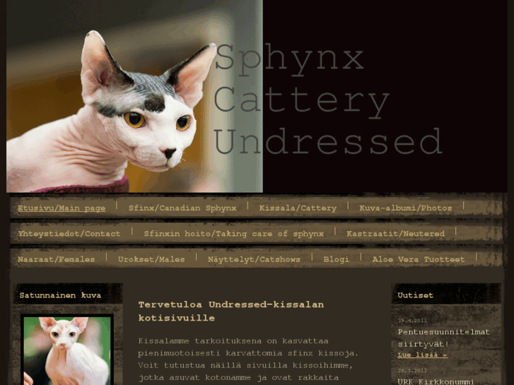 www.sphynxcatteryundressed.com