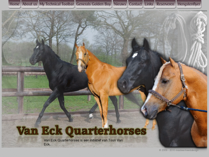 www.vaneckquarterhorses.com