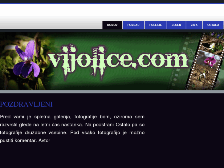 www.vijolice.com