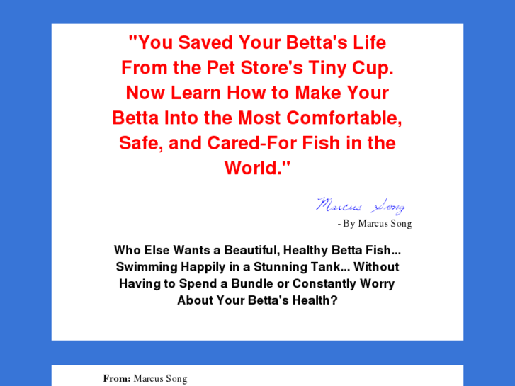 www.betta-lovers.com