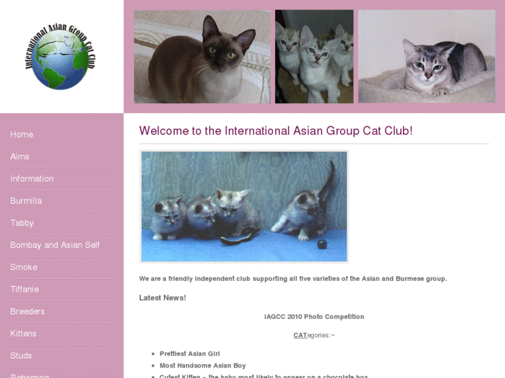 www.internationalasiangroupcatclub.com