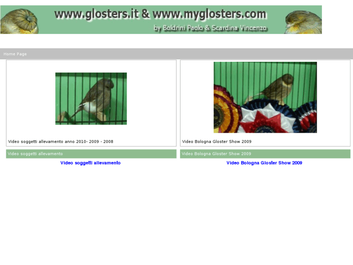 www.myglosters.com