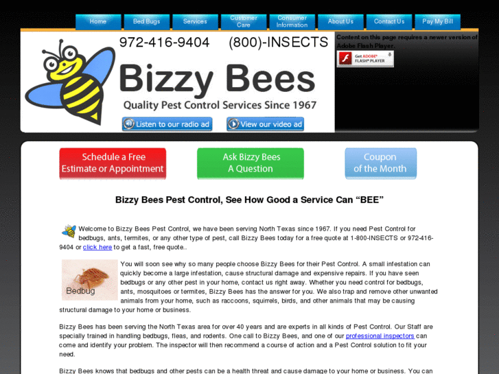 www.bizzybees.com