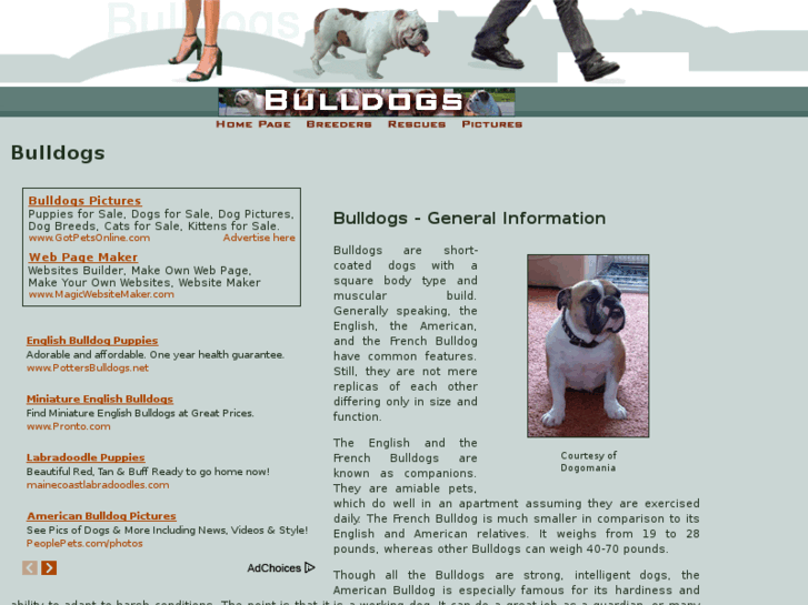 www.bulldogs-bulldogs.org