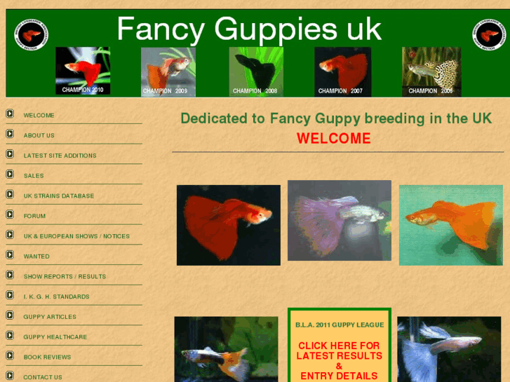www.fancyguppies.co.uk