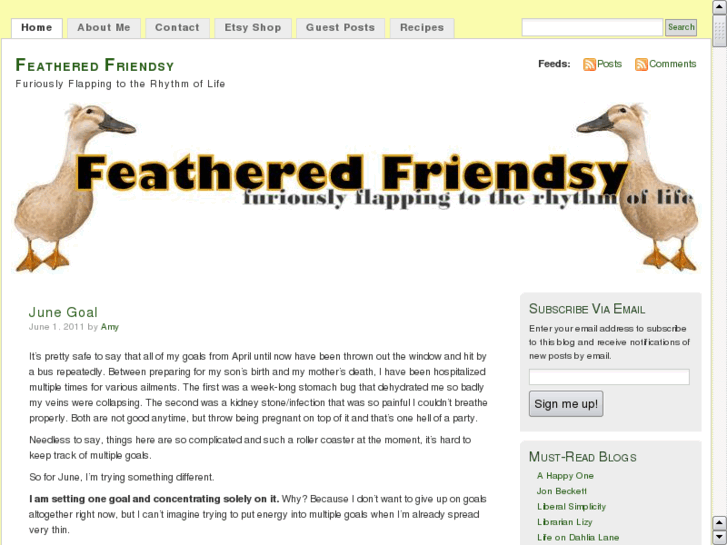 www.featheredfriendsy.com