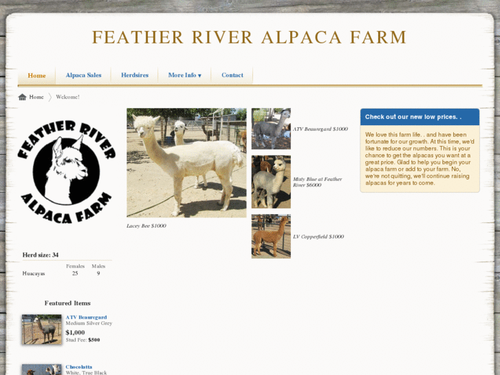 www.featherriveralpacas.com