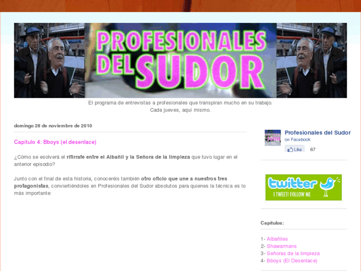 www.profesionalesdelsudor.com