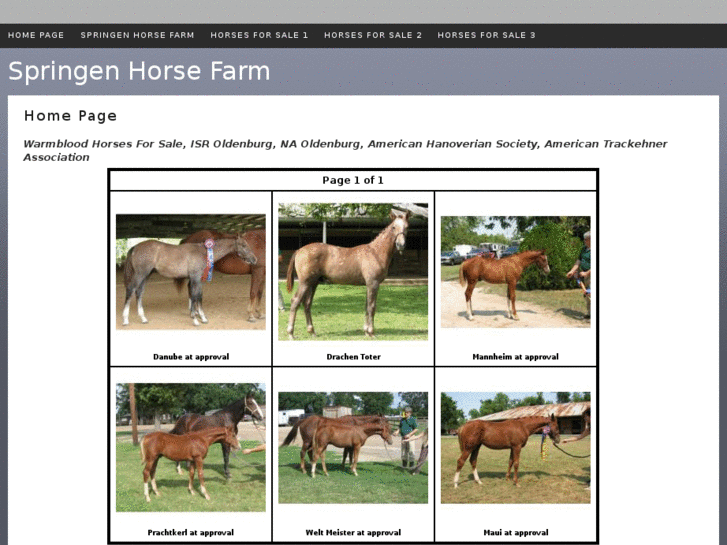 www.springenhorsefarm.com