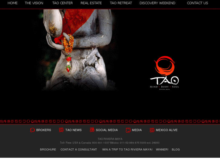 www.taomexico.com