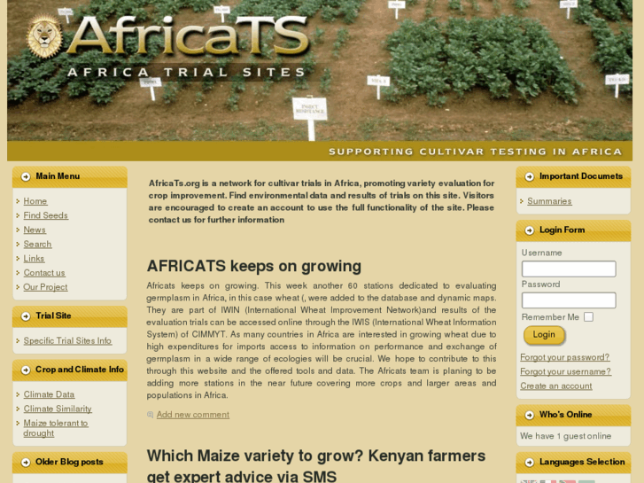 www.africats.org