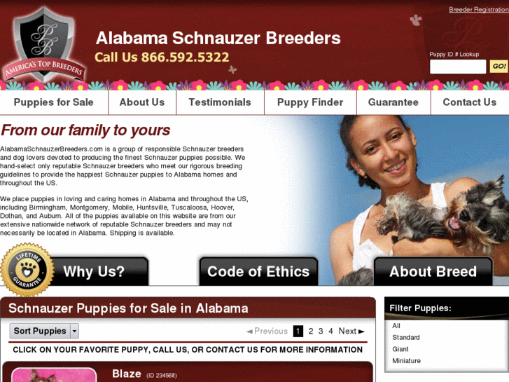 www.alabamaschnauzerbreeders.com