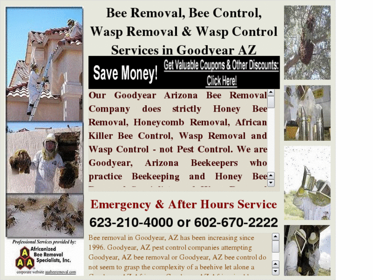 www.beeremovalgoodyearaz.com