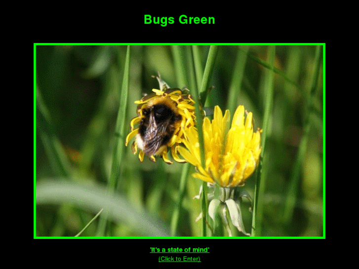 www.bugsgreen.com