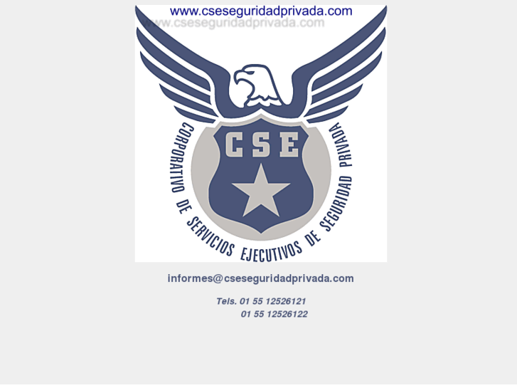 www.cseseguridadprivada.com