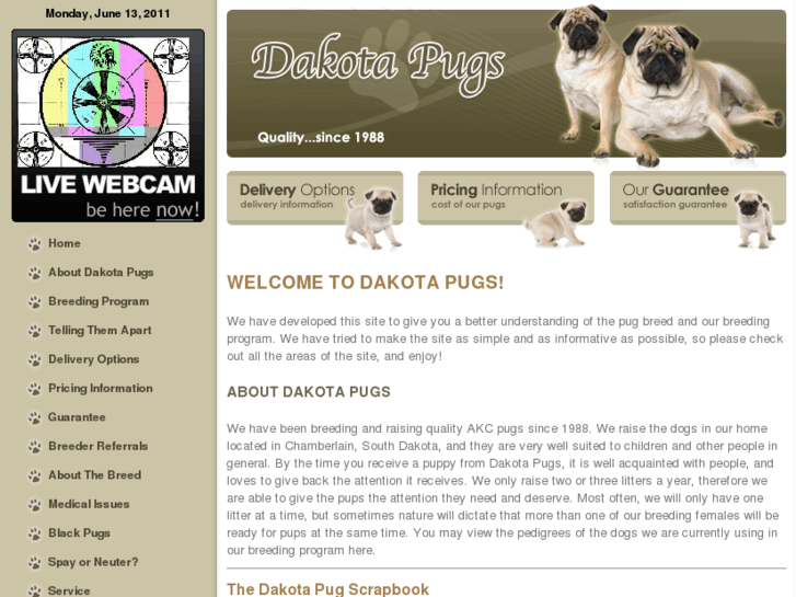 www.dakotapugs.com