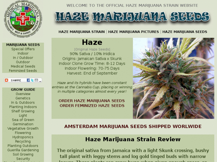 www.hazemarijuanaseeds.com