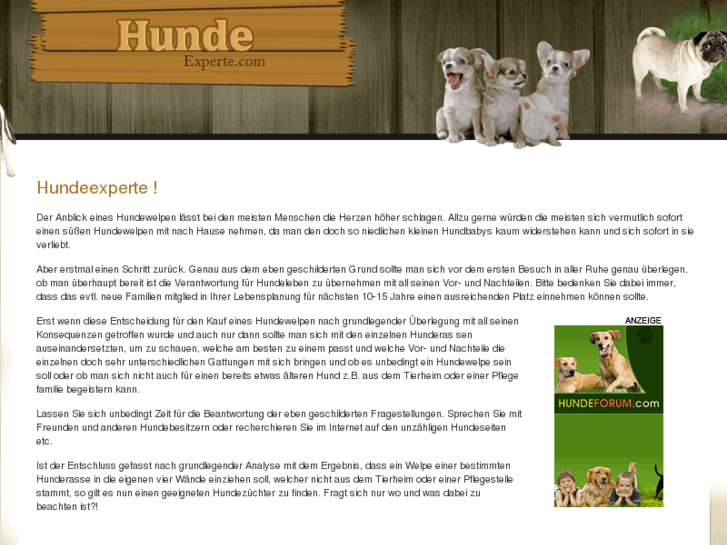 www.hundeexperten.com