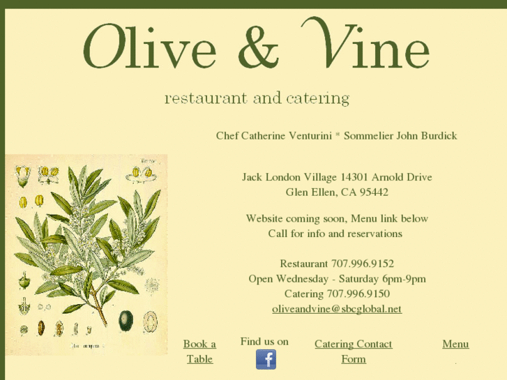 www.oliveandvine.net