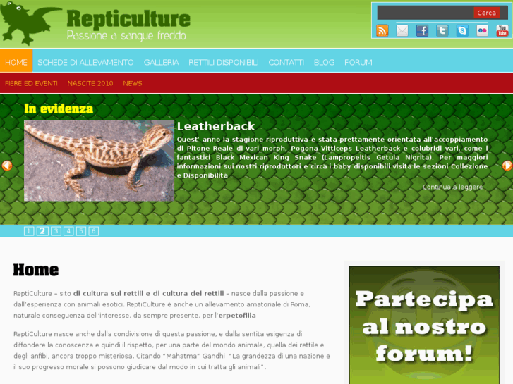 www.repticulture.com