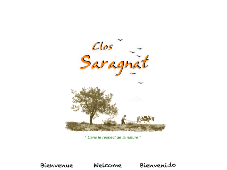 www.saragnat.com