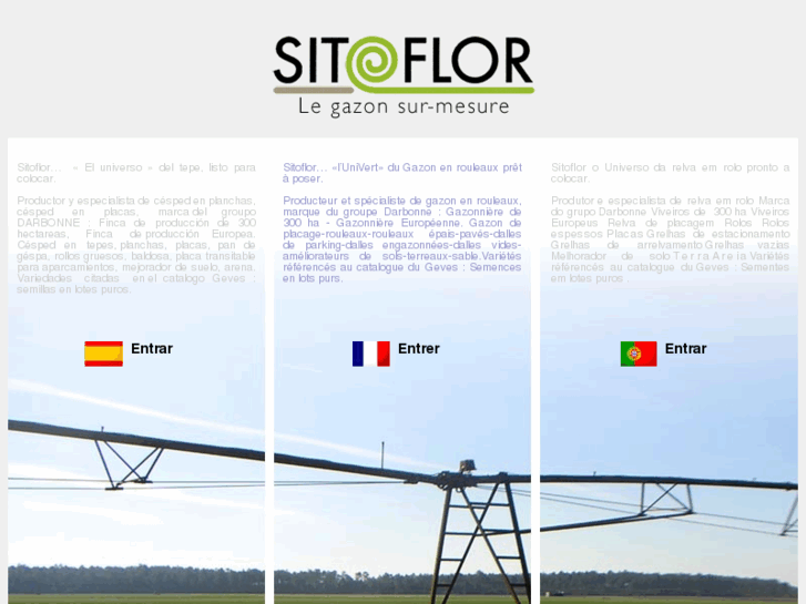 www.sitoflor.com