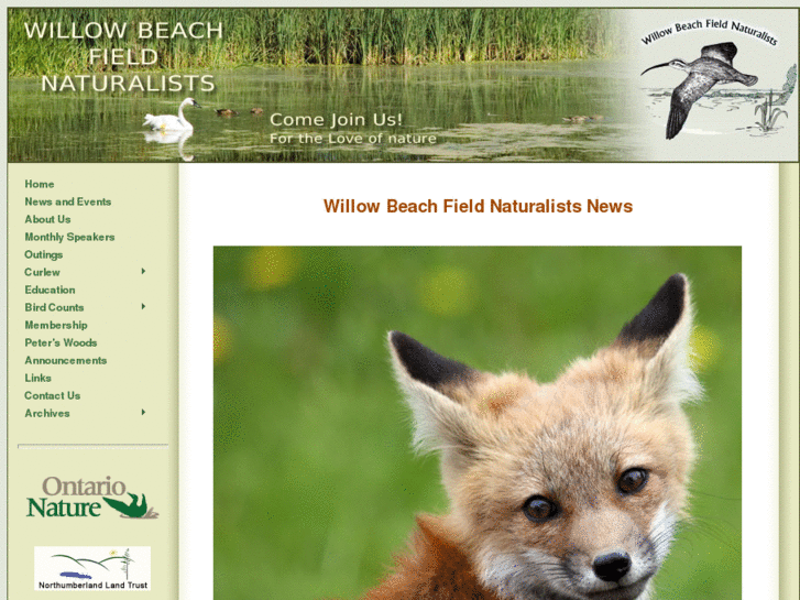 www.willowbeachfieldnaturalists.org