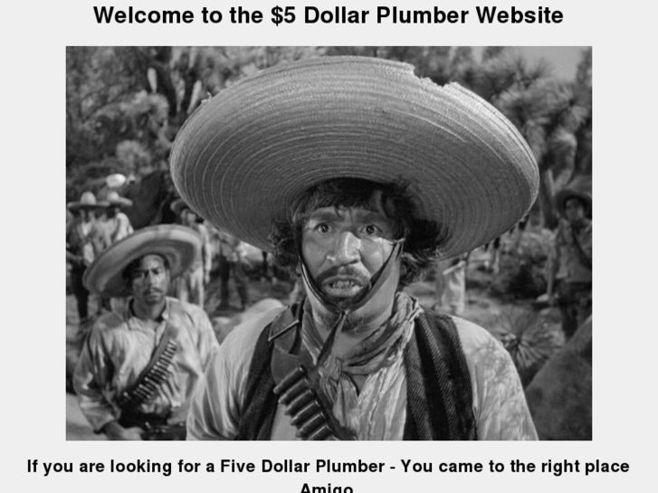 www.5dollarplumber.com