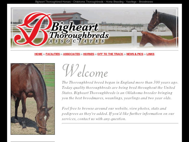 www.bigheartthoroughbreds.com