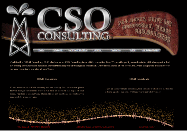 www.csoconsulting.net