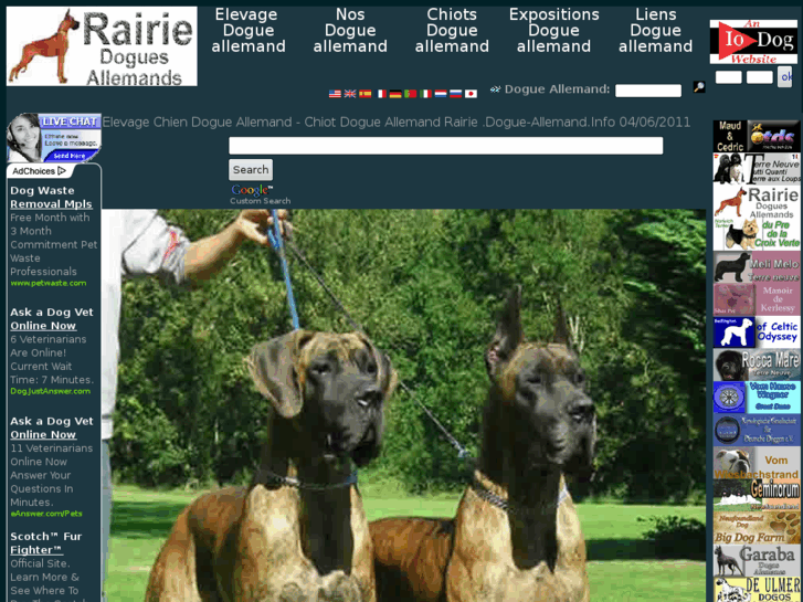 www.dogue-allemand.info