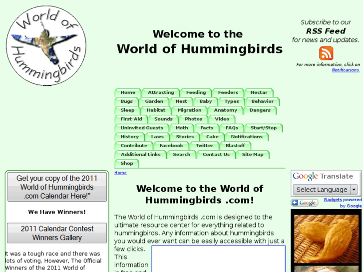 www.worldofhummingbirds.com