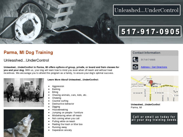 www.dogtrainingjacksonmi.com