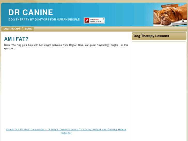 www.drcanine.com