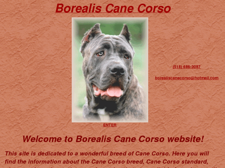 www.borealiscanecorso.com