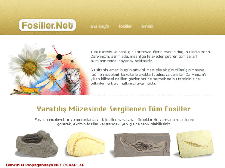 www.fosiller.net