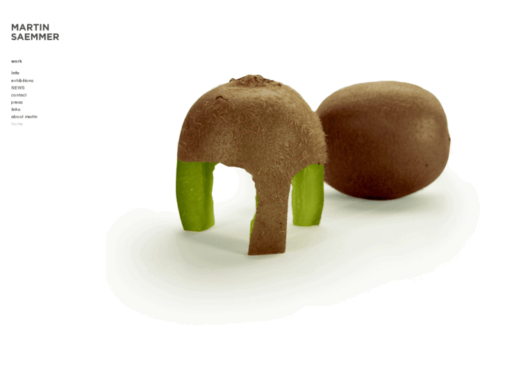 www.martinsaemmer.de
