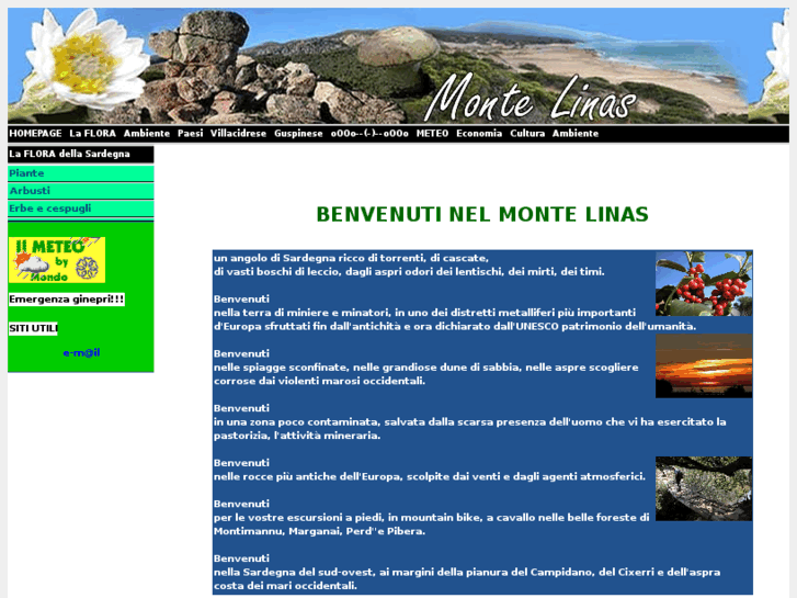 www.montelinas.it