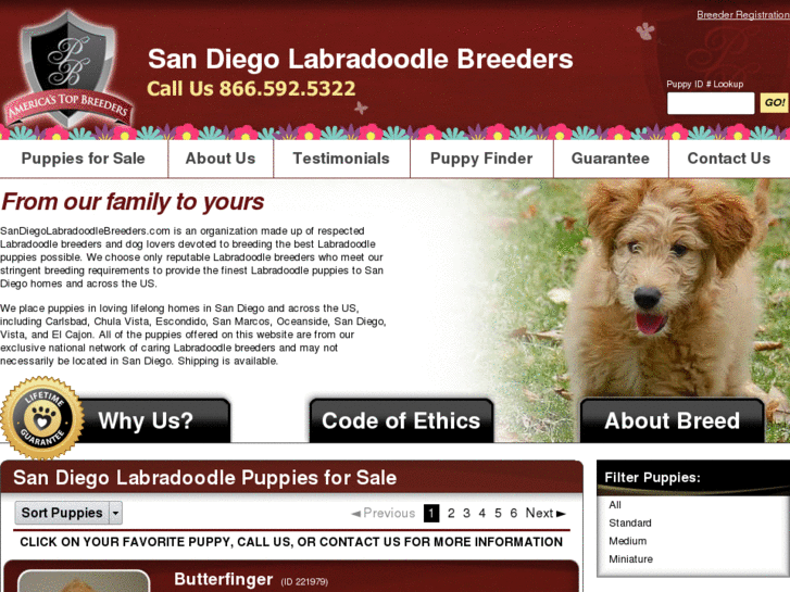 www.sandiegolabradoodlebreeders.com