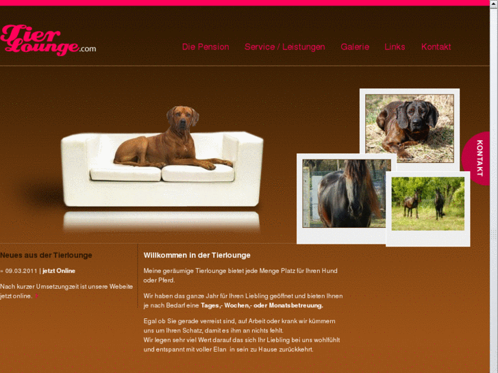 www.tierlounge.com