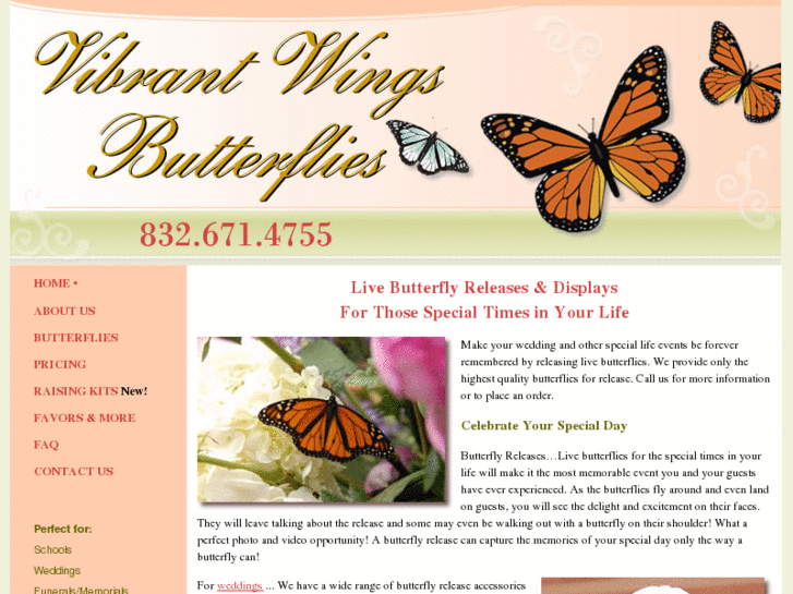 www.butterfliesforbrides.com